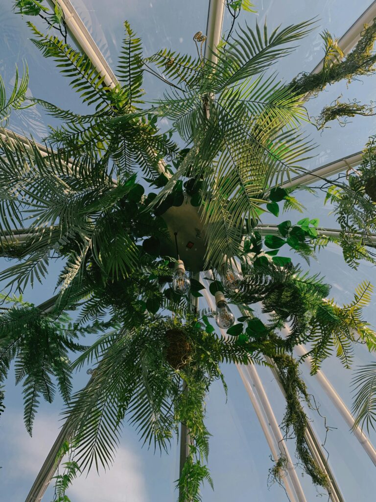 sun heat rain and wind affect artificial plants for outdoors with uv protection