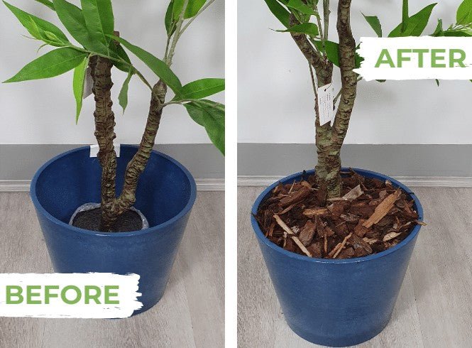 why you must secure artificial plants in pots to prevent wobbling and leaning