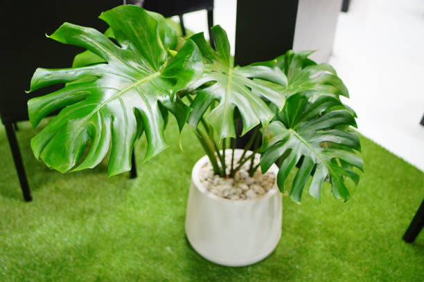 how to make fake plant pots look realistic