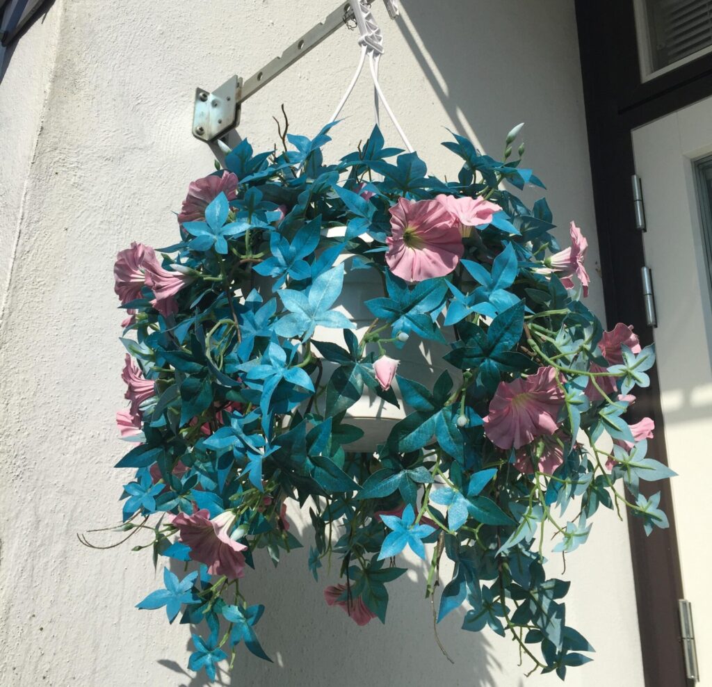 normal artificial flowers fading outdoors normal artificial flowers fading outdoors compared with UV resistant flowers for outside