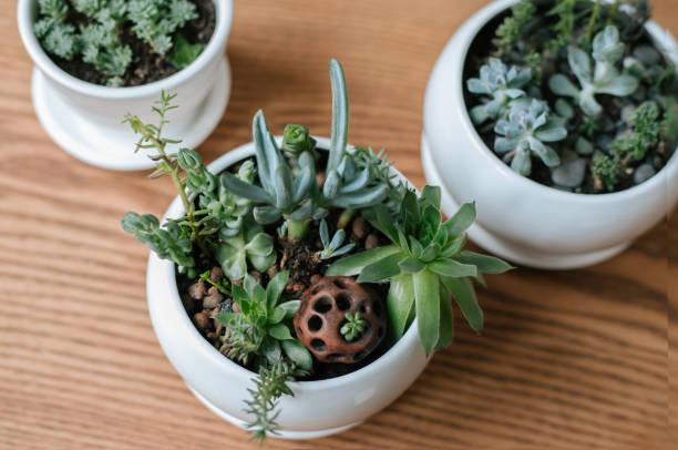 safe packaging for filled fake plant pots