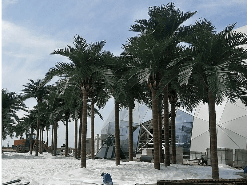 artificial plants supplier in Dubai for hotel and mall greenery demand