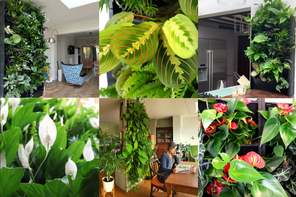 artificial plants supplier in Dubai quality comparison for commercial projects