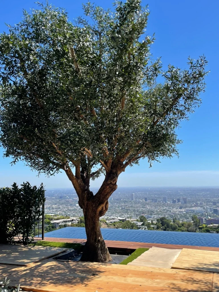 Large Artificial Trees for Commercial Spaces Trunk Quality Inspection large artificial trees for commercial spaces trunk quality inspection