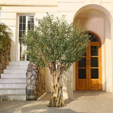 Outdoor Large Artificial Trees for Commercial Spaces Entrance outdoor large artificial trees for commercial spaces entrance