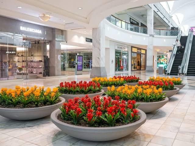 best artificial plants for high traffic commercial areas