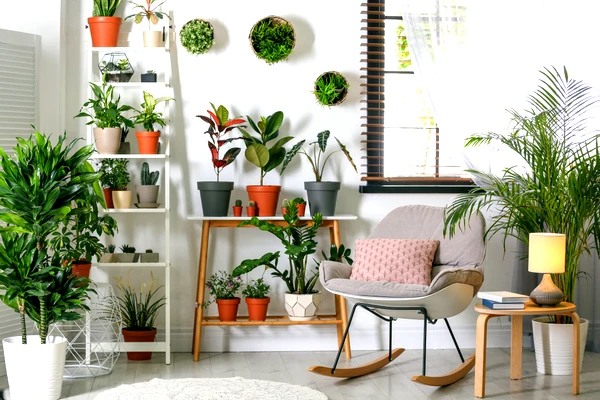 mixing artificial plants for living room designs with real greenery