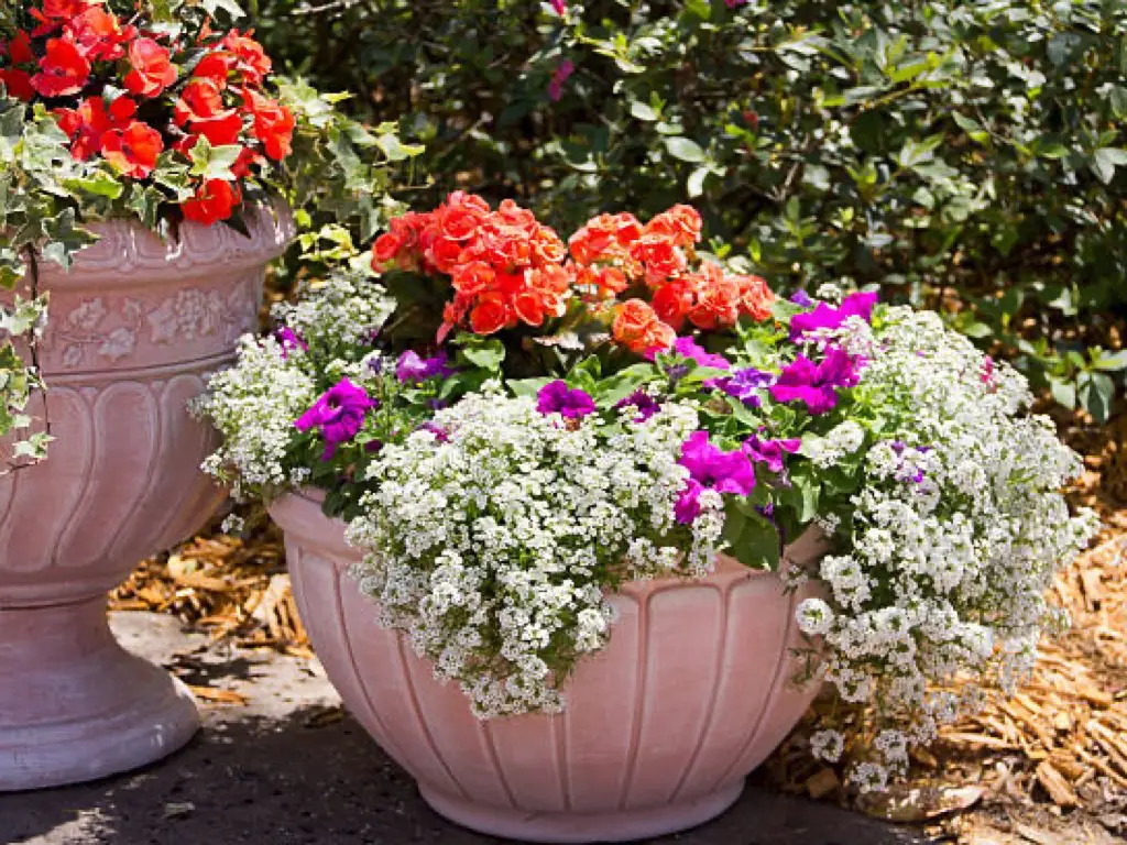 Cost Benefits of UV-Protected Silk Flowers