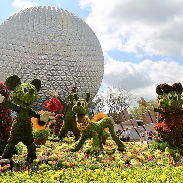 uv spray for artificial flowers coverage coats dry time avoid dust coverage coats dry time uv spray for artificial flowers avoid sticky dust