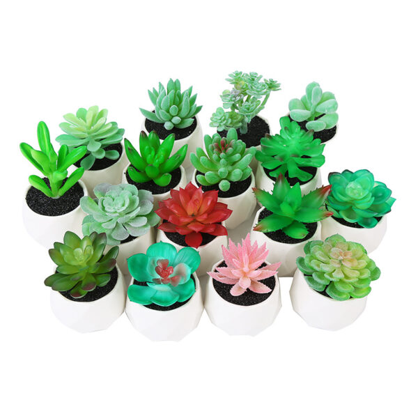 Artificial Cactus and Succulents