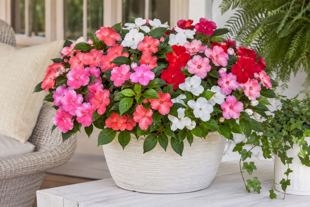 Artificial Impatiens Flowers: A Timeless Decorative Choice for Year-Round Beauty