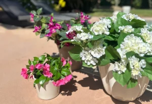 how to protect silk flowers outside in commercial displays