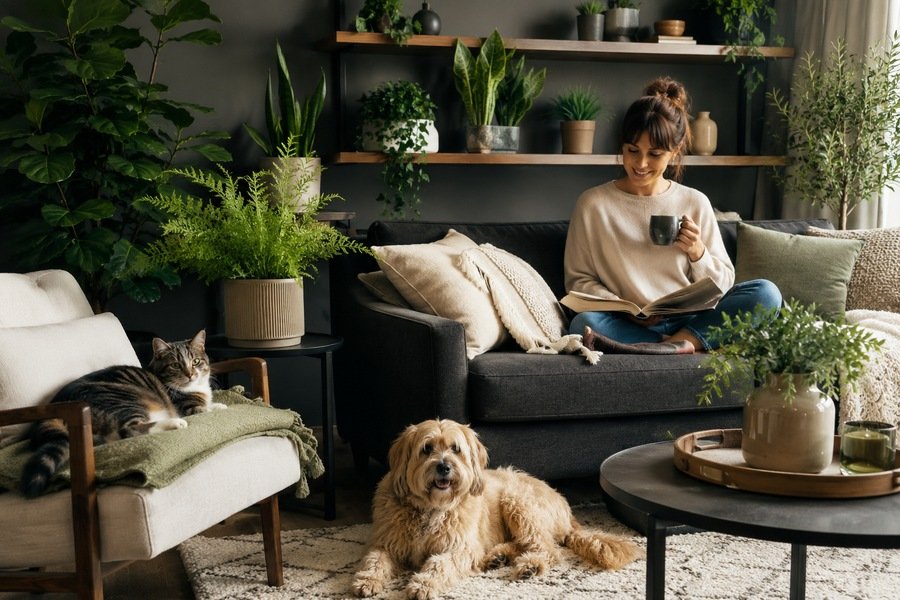 From Plant Killer to Smart Pet Parent: My Faux Greenery Redemption Journey