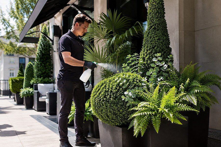 Ultimate Guide: Prevent Artificial Plants from Fading Outdoors (2025 Edition)