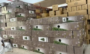 artificial garland wholesale packaging shipping carton requirements