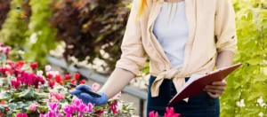 quality checks before import artificial flowers from China to UAE