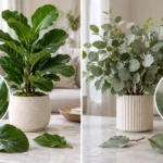 Real Touch vs Silk Plants: Key Differences & Buying Guide