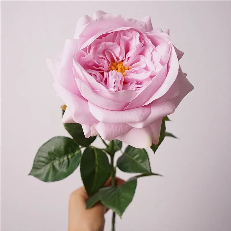 Pink real touch garden rose in David Austin style