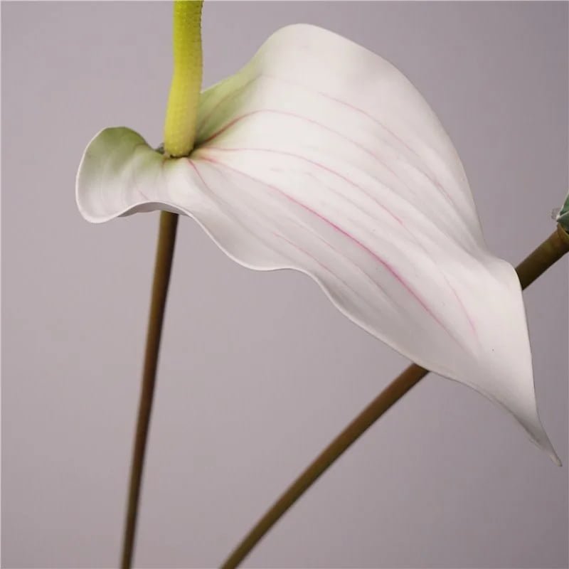 White real touch artificial anthurium