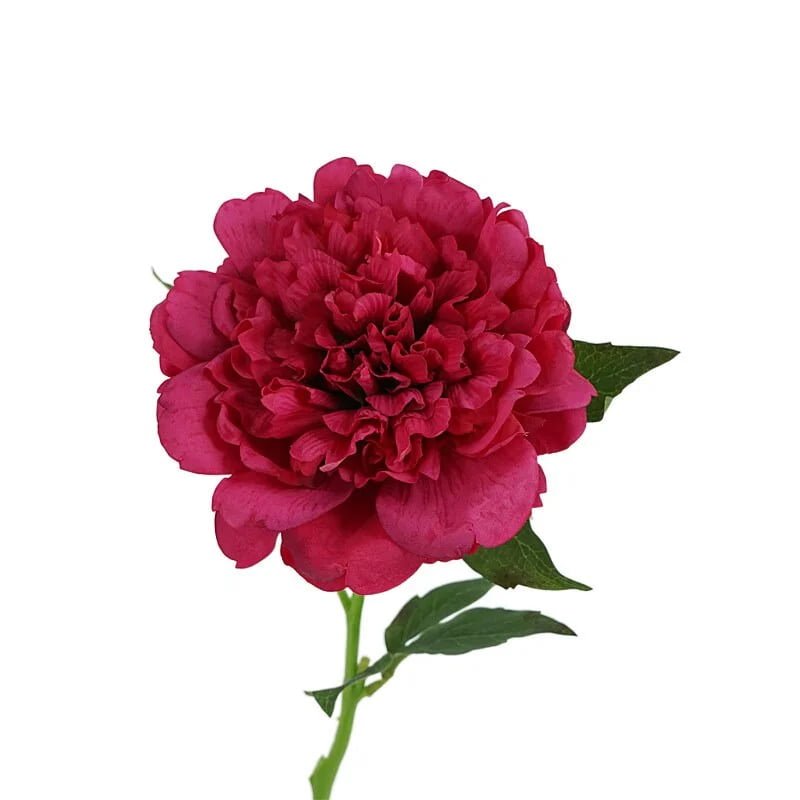 Red real touch artificial peony stem
