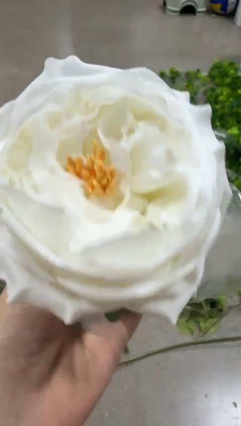 Real touch artificial garden rose RT03