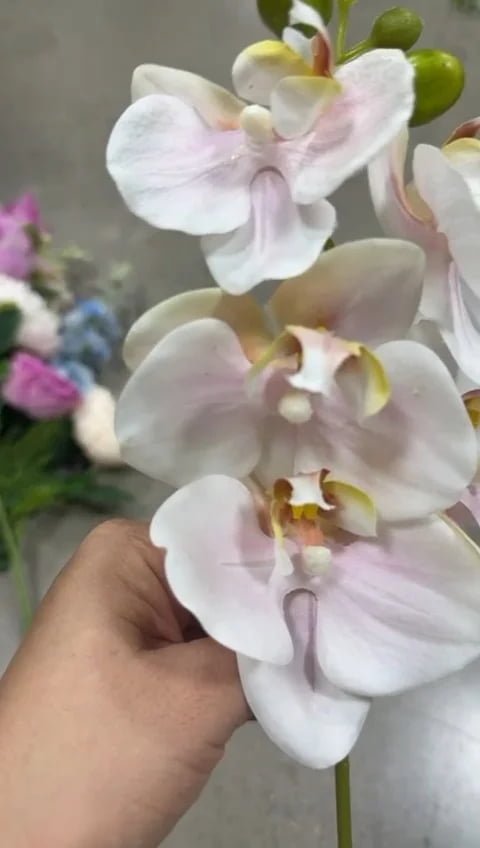 Real touch artificial phalaenopsis orchid RT09