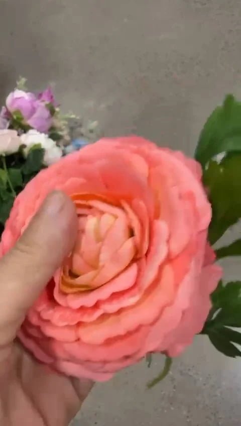 Fingers pressing the layered petals of a real touch artificial ranunculus