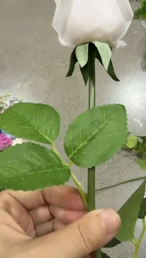 Real touch rose stem with leaves held in hand